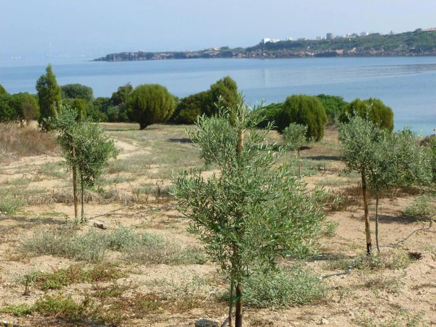 Salina Holiday Home Calasetta Italien